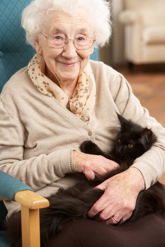 elderly woman holding cat