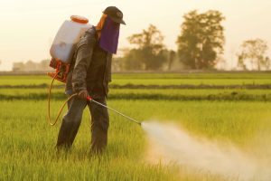 iStock_000032813030_herbicide roundup